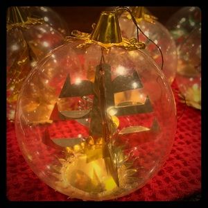 Resl Lenz Christmas Ornament